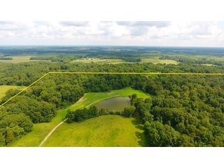 TRACT 39 - ILLINOIS LAND AUCTION - 4,810+/- ACRES OFFERED IN 85 TRACTS IN FRANKLIN, WILLIAMSON, HAMILTON & SALINE COUNTIES, ILLINOIS
